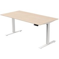 Kerkmann Move 3 elektrisch höhenverstellbarer Schreibtisch ahorn rechteckig, T-Fuß-Gestell weiß 160,0 x 80,0 cm von Kerkmann