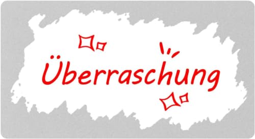 Kesote 300x Rubbellose Scratch Sticker Rubbel Etiketten Rubbellos Aufkleber Silber Rechteck für Überraschung, 42 x 23mm von Kesote