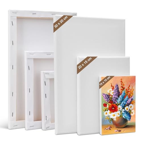 Kigniote Leinwand Set, 6 Stück Leinwand zum Bemalen 30x20,20x15,15x10 cm Keilrahmen Weiß Leinwand Malen Canvas Künstlertafelbilder für Ölgemälde Acryl Leinwandpaneele für Bastler und Künstler von Kigniote