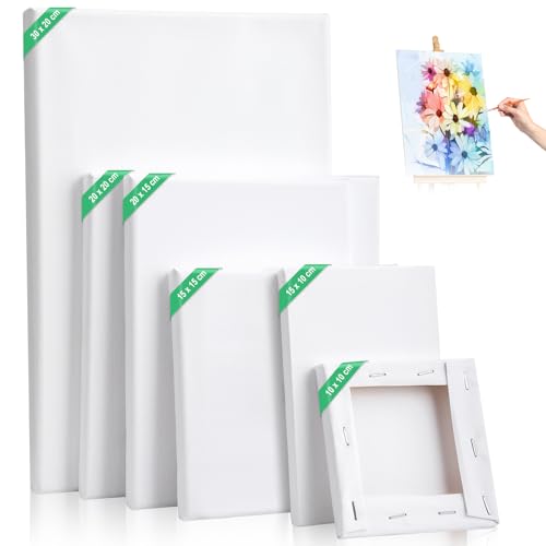 Kigniote Leinwand Set, 6 Stück Leinwand zum Bemalen 30x20,20x20,20x15,15x15,15x10, 10x10cm Keilrahmen Weiß Malen Canvas Künstlertafelbilder für Ölgemälde Acryl Leinwandpaneele für Bastler und Künstler Kigniote Leinwand Set, 6 Stück Leinwand zum Bemalen 30x20,20x20,20x15,15x15,15x10, 10x10cm Keilrahmen Weiß Malen Canvas Künstlertafelbilder für Ölgemälde Acryl Leinwandpaneele für Bastler und Künstler von Kigniote