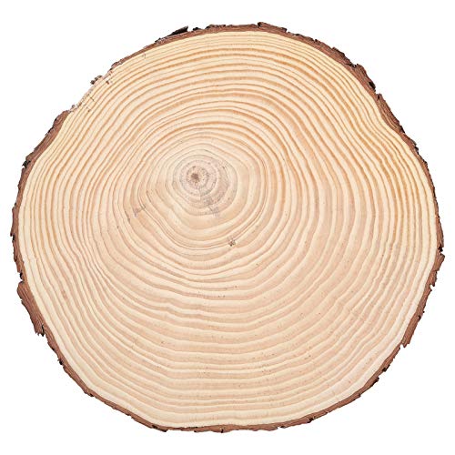 Unvollendete, Leere, Runde Holzscheiben – 2 Cm Dicke, Natürliche Holzscheiben, Unvollendete Holzkreise, Ornamente, Unregelmäßige Holzscheiben mit Rinde (22,5 * 23) von Kikumi