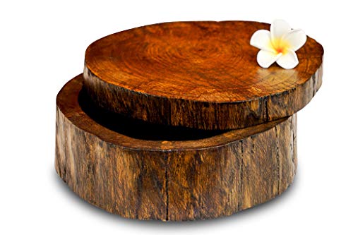 Kinaree Teak Baumstamm Dose - Schmuckschatulle in 2 Größen und Farben - Gastgeschenk Mitbringsel oder Geschenkverpackung in Baumstammoptik (Braun - L) von Kinaree