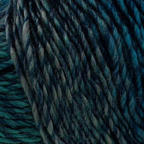 King Cole 2125255 Autumn Chunky Frozen Garn – 140 m, 100 g von King Cole