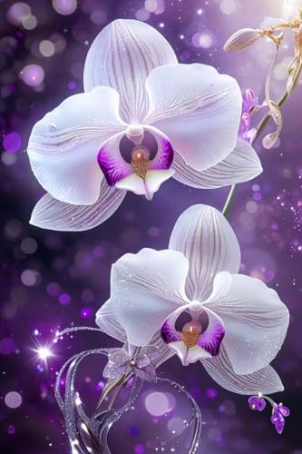 Phalaenopsis orchidee Diamond Painting Erwachsene 30x40cm, DIY 5D Diamant Painting Bilder Malen Nach Zahlen Set, Diamond Art Full Drill Kinder Diamant Malerei Kunst Basteln für Home Wand Dekor Y-179 von Kinooge