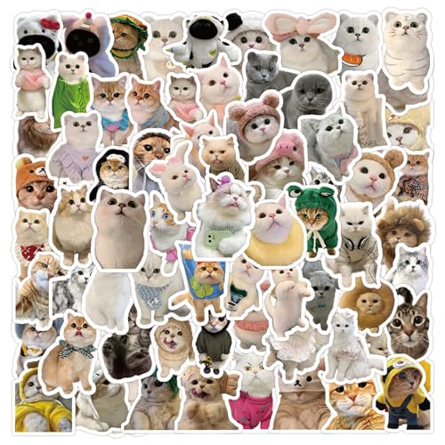 Kinwodon 100 Stück Katzen Sticker Lustige Aufkleber Set Süße Katzen Aufkleber Wasserfeste Vinyl Aufkleber Cute Sticker Aesthetic für Koffer Skateboard Laptop Helm Auto Kühlschrank Katzenform Sticker von Kinwodon