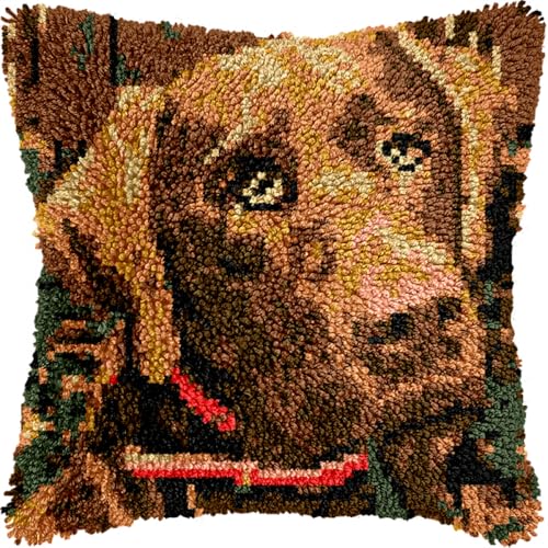 Diy Knüpfen Set Erwachsene Labrador Retriever Tier Kissen Kissen Vorderseite Chunky Kreuzstich Kit Stickerei Nadelspitze Kissen Kit Für Wohnkultur 17x17in von Kitquiver