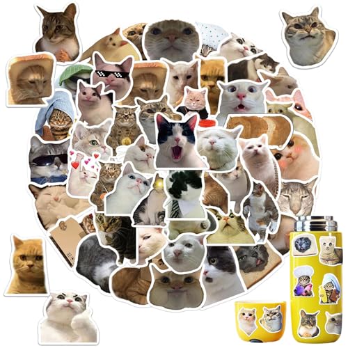 100 Stück Lustiges Katzen Aufkleber Set, Meme Aufkleber süße Katzen Aufkleber Wasserfeste Vinyl Aufkleber für Skateboard Laptop Koffer Helm Motorrad Auto Fahrrad Handy, Geeignet für Erwachsene Kinder von KkvoGmle