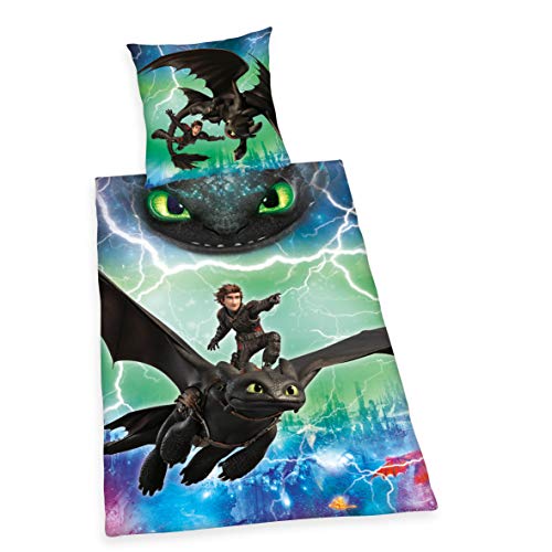 Herding DREAMWORKS DRAGONS Bettwäsche-Set, Wendemotiv, Bettbezug 140 x 200 cm, Kopfkissenbezug 70 x 90 cm, Baumwolle/Renforcé von Herding