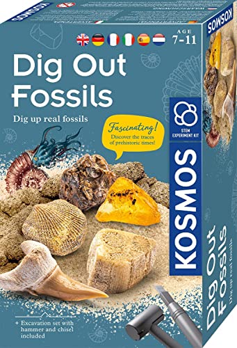 KOSMOS ‎616922 Fossilien Ausgrabungs-Set, Grabe echte Versteinerungen und Bernstein selbst aus, mit Hammer und Meißel, Experimentierset für Kinder ab 7 Jahre, mehrsprachige Anleitung von Kosmos