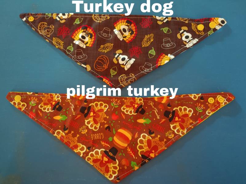 Thanksgiving Baby Drool Bibs Mit Feuchtigkeitsdocht Rücken von Kraftsbykenneys