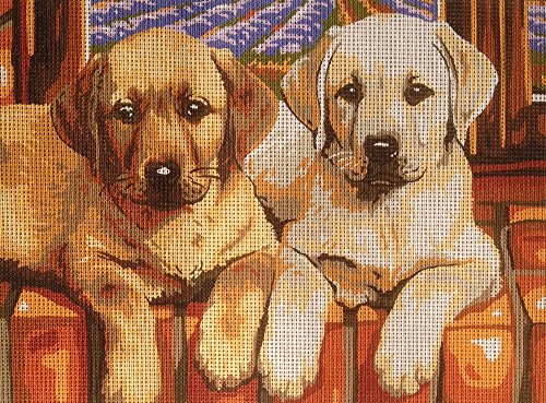 Krainer Gobelin Stickbild Stickpackung Labradors halber Kreuzstich 23X30cm. inkl. Sticktwist cod K19 von Krainer