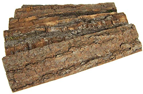 Krippenbau-Lewen 5 St. Baumrinde, Holzrinde vom Lindenholz zum Basteln und Dekorieren, je 5x20 cm von Krippenbau-Lewen