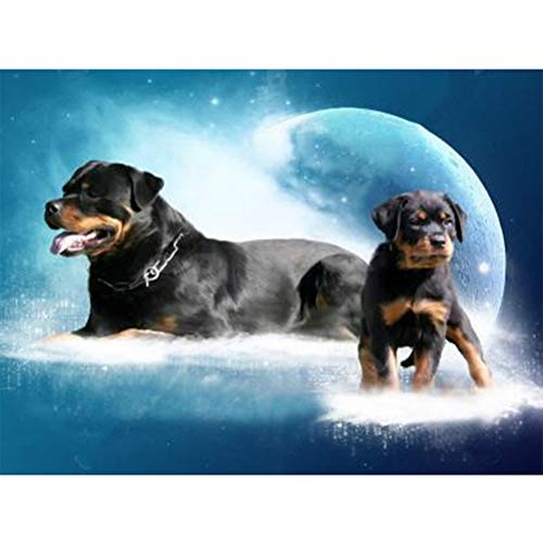 Kylewo DIY 5D Diamant Malerei Set, 5D DIY Diamant Stickerei Naturkulisse Rottweiler Hund Diamant Malerei Landschaft Kreuzstich Mosaik Diamant Decor 40 * 30cm von Kylewo