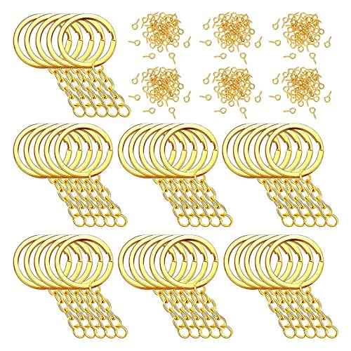 Schmuckherstellungszubehör, 250 Stück Metall-Schlüsselanhänger mit Kette und Biegeringen, Schmuckherstellung von LAIOUSN