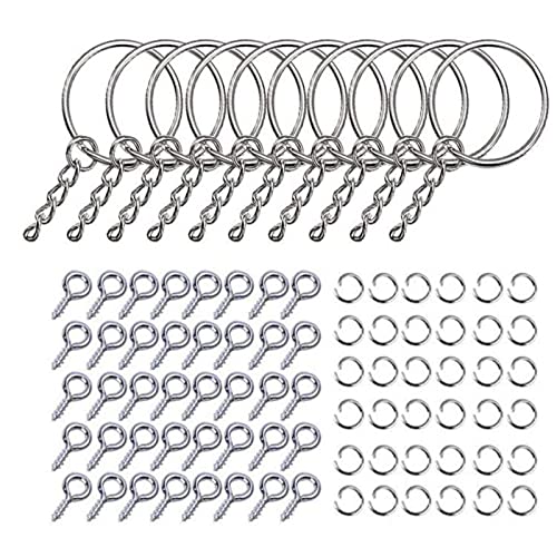 Zubehör zur Schmuckherstellung, 220 Stück Schlüsselanhängerringe mit 100 Biegeringe und 100 Schraubösen von LAIOUSN