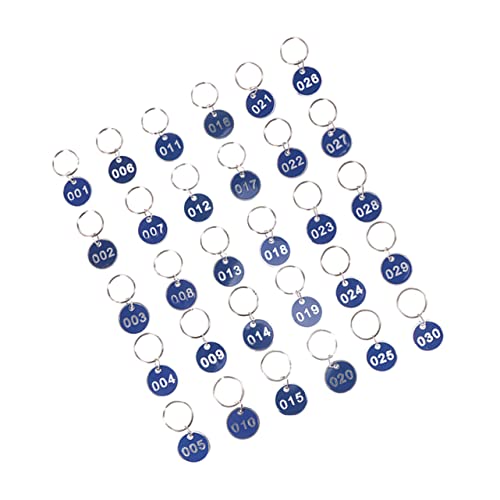 LALADEFIEE 1 Satz Nummernschilder Kraftanhänger digitales Nummernschild Schlüssel-ID-Label-Tags Etiketten Bezeichner schlüsselorganizor schlüsselorganisation Gepäck-ID-Tags Kennzeichen Blue von LALADEFIEE