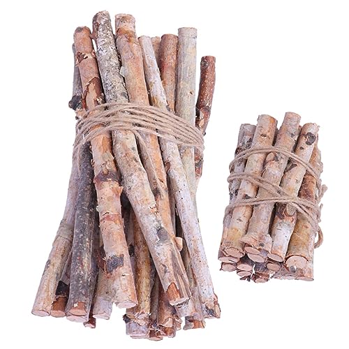 LALAFINA 40pcs Birch Zweige Dekorative Birkenbaumbirken Birch Zweige Basteln Desktop -mittelstücke von LALAFINA