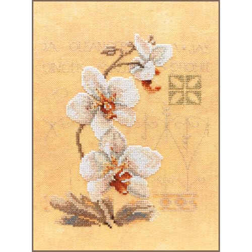 LANARTE PN Zählmusterpackung Orchideen Kreuzstichpackung, Baumwolle, Mehrfarbig, 17 x 23 x 0.3 cm von Lanarte