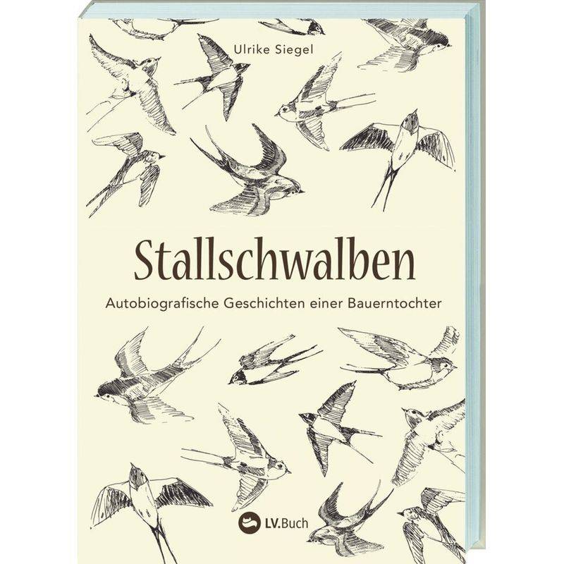 Stallschwalben - Ulrike Siegel, Kartoniert (TB) von LANDWIRTSCHAFTSVERLAG