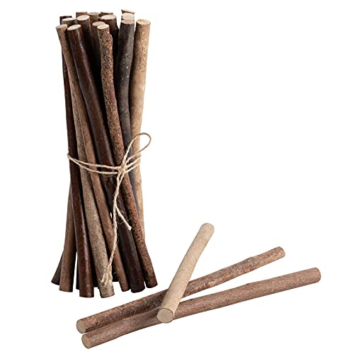 LAZACA Holzstäbchen zum Basteln Zweige Handwerk Log Holzblock Sticks Natürliche Baumrinde Rustikale Wohnkultur DIY (Länge 25cm/10 Stück) von LAZACA