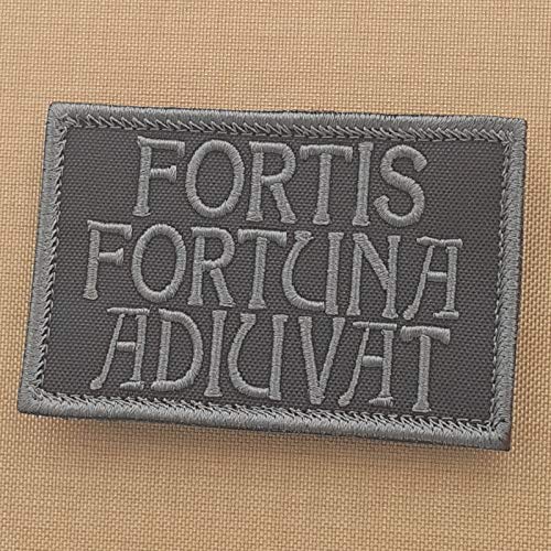 Subdued Fortis Fortuna Adiuvat 2x3.25 John Wick Blackout Morale Tactical Military Hook Patch von LEGEEON