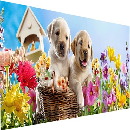 Malen Nach Zahlen Erwachsene mit Rahmen Blume, Malen Nach Zahlen Hund DIY Handgemalt Ölgemälde Leinwand Kit für Anfänger, Acrylfarbe Malen Nach Zahlen Kinder 60x30cm für Geschenke Home Wand Dekor 2-4 von LEIRUIMO