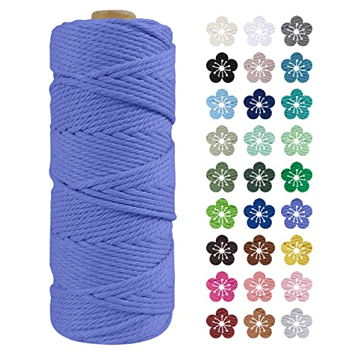 LEREATI Makramee Garn 2mm x 100m Baumwollkordel Natur Baumwollseil Farbig Baumwollgarn, Macrame Cord 2mm für DIY Geflochten, Makramee Deko, Hängepflanze, Wandbehang, Vorhang (Haze blau) von LEREATI