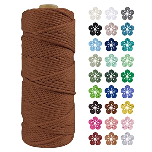 LEREATI Makramee Garn 2mm x 100m Baumwollkordel Natur Baumwollseil Farbig Baumwollgarn, Macrame Cord 2mm für DIY Geflochten, Makramee Deko, Hängepflanze, Wandbehang, Vorhang (Karamell) von LEREATI