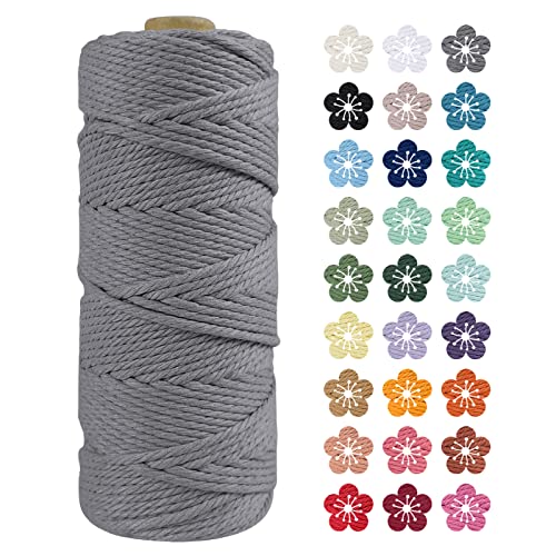 LEREATI Makramee Garn 2mm x 100m Grau Baumwollkordel Natur Baumwollseil Farbig Baumwollgarn, Macrame Cord 2mm für DIY Geflochten, Makramee Deko, Hängepflanze, Wandbehang, Vorhang von LEREATI