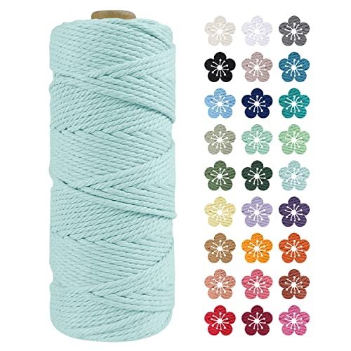 LEREATI Makramee Garn 2mm x 100m Hellblau Baumwollkordel Natur Baumwollseil Farbig Baumwollgarn, Macrame Cord 2mm für DIY Geflochten, Makramee Deko, Hängepflanze, Wandbehang, Vorhang von LEREATI