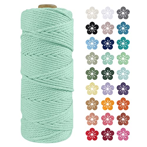 LEREATI Makramee Garn 2mm x 100m Hellgrün Baumwollkordel Natur Baumwollseil Farbig Baumwollgarn, Macrame Cord 2mm für DIY Geflochten, Makramee Deko, Hängepflanze, Wandbehang, Vorhang von LEREATI