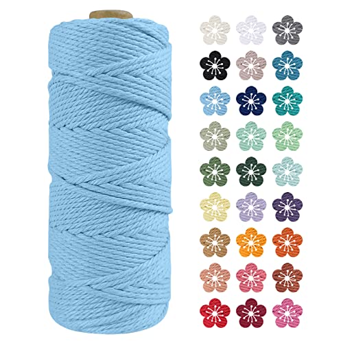 LEREATI Makramee Garn 2mm x 100m Himmelblau Baumwollkordel Natur Baumwollseil Farbig Baumwollgarn, Macrame Cord 2mm für DIY Geflochten, Makramee Deko, Hängepflanze, Wandbehang, Vorhang von LEREATI