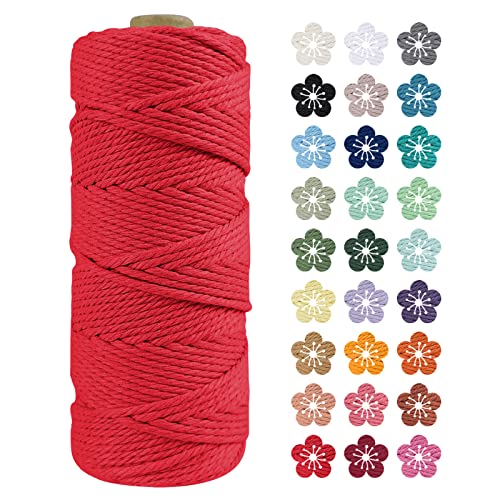 LEREATI Makramee Garn 2mm x 100m Rot Baumwollkordel Natur Baumwollseil Farbig Baumwollgarn, Macrame Cord 2mm für DIY Geflochten, Makramee Deko, Hängepflanze, Wandbehang, Vorhang von LEREATI