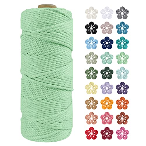 LEREATI Makramee Garn 2mm x 100m Wassergrün Baumwollkordel Natur Baumwollseil Farbig Baumwollgarn, Macrame Cord 2mm für DIY Geflochten, Makramee Deko, Hängepflanze, Wandbehang, Vorhang von LEREATI