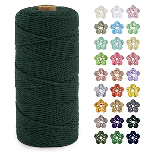 LEREATI Makramee Garn 2mm x 200m Baumwollkordel Natur Baumwollseil Farbig Baumwollgarn, Macrame Cord 2mm für DIY Geflochten, Makramee Deko, Hängepflanze, Wandbehang, Vorhang (Dunkelgrün) von LEREATI