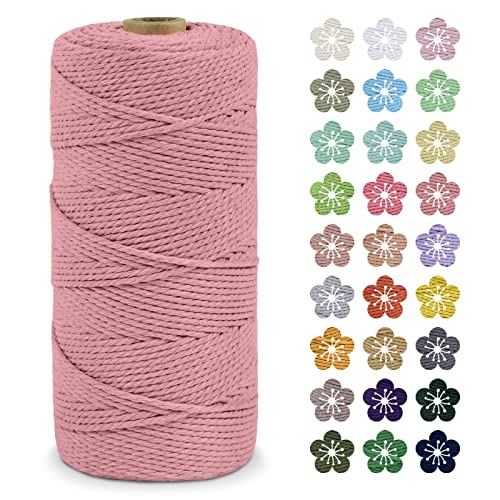 LEREATI Makramee Garn 2mm x 200m Baumwollkordel Natur Baumwollseil Farbig Baumwollgarn, Macrame Cord 2mm für DIY Geflochten, Makramee Deko, Hängepflanze, Wandbehang, Vorhang (Fleischrosa) von LEREATI