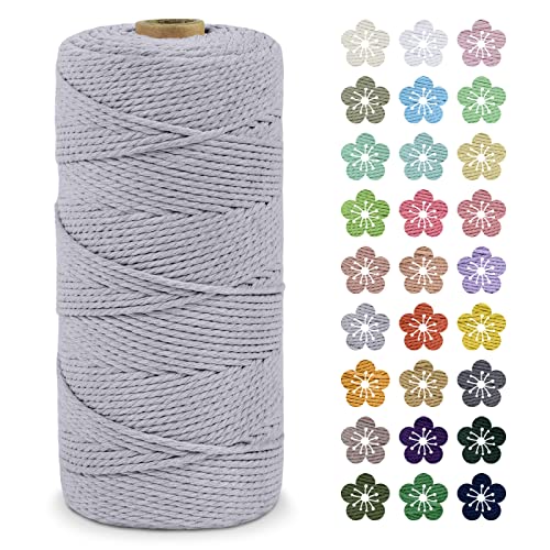 LEREATI Makramee Garn 2mm x 200m Baumwollkordel Natur Baumwollseil Farbig Baumwollgarn, Macrame Cord 2mm für DIY Geflochten, Makramee Deko, Hängepflanze, Wandbehang, Vorhang (Hellgrau) von LEREATI