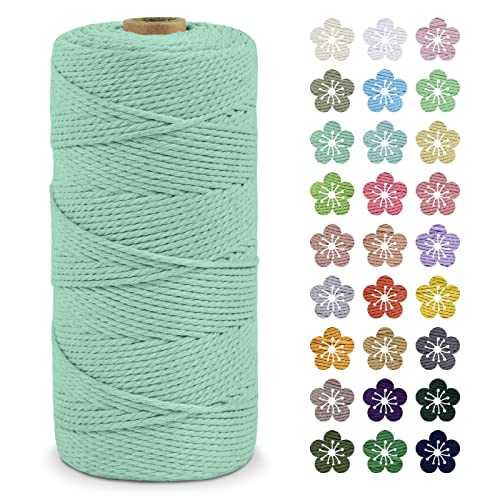 LEREATI Makramee Garn 2mm x 200m Baumwollkordel Natur Baumwollseil Farbig Baumwollgarn, Macrame Cord 2mm für DIY Geflochten, Makramee Deko, Hängepflanze, Wandbehang, Vorhang (Hellgrün) von LEREATI