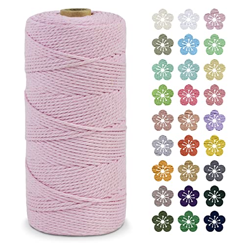 LEREATI Makramee Garn 2mm x 200m Baumwollkordel Natur Baumwollseil Farbig Baumwollgarn, Macrame Cord 2mm für DIY Geflochten, Makramee Deko, Hängepflanze, Wandbehang, Vorhang (Rosa) von LEREATI