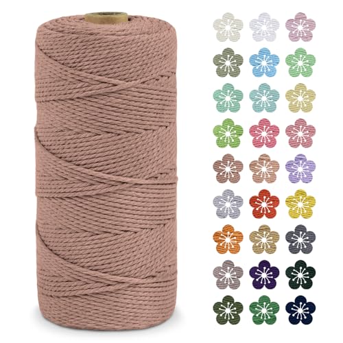 LEREATI Makramee Garn 2mm x 200m Baumwollkordel Natur Baumwollseil Farbig Baumwollgarn, Macrame Cord 2mm für DIY Geflochten, Makramee Deko, Hängepflanze, Wandbehang, Vorhang (Ziegelrot) von LEREATI