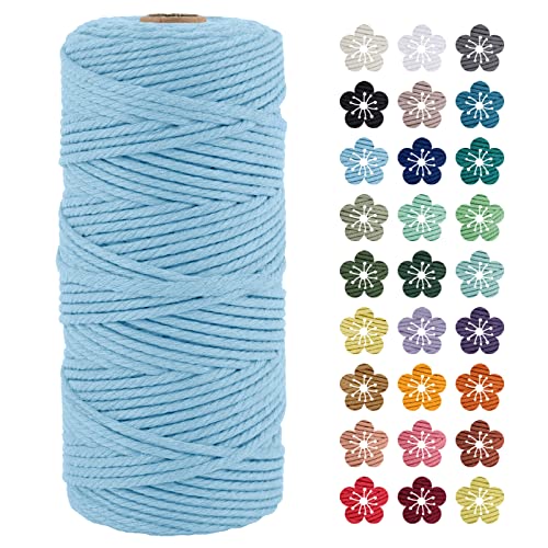 LEREATI Makramee Garn 3mm x 100m Himmelblau Baumwollkordel Natur Baumwollseil Farbig Baumwollgarn, Macrame Cord 3mm für DIY Geflochten, Makramee Deko, Hängepflanze, Wandbehang, Vorhang von LEREATI