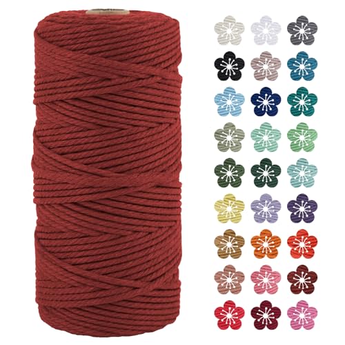 LEREATI Makramee Garn 3mm x 100m Korallrot Baumwollkordel Natur Baumwollseil Farbig Baumwollgarn, Macrame Cord 3mm für DIY Geflochten, Makramee Deko, Hängepflanze, Wandbehang, Vorhang von LEREATI