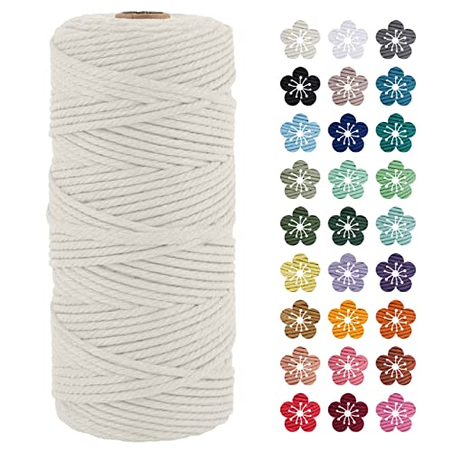 LEREATI Makramee Garn 3mm x 100m Natürlich Baumwollkordel Natur Baumwollseil Farbig Baumwollgarn, Macrame Cord 3mm für DIY Geflochten, Makramee Deko, Hängepflanze, Wandbehang, Vorhang von LEREATI