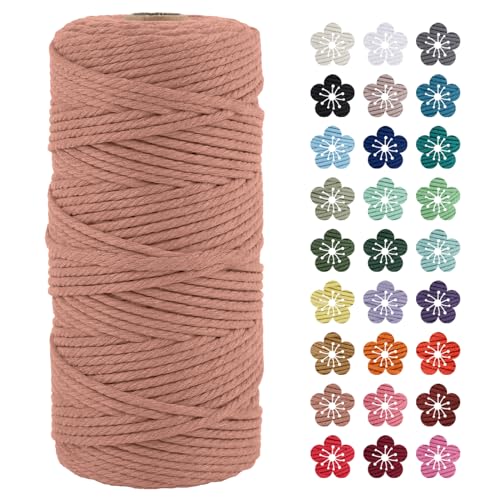 LEREATI Makramee Garn 3mm x 100m Ziegelrot Baumwollkordel Natur Baumwollseil Farbig Baumwollgarn, Macrame Cord 3mm für DIY Geflochten, Makramee Deko, Hängepflanze, Wandbehang, Vorhang von LEREATI