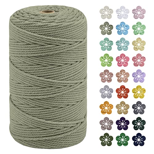 LEREATI Makramee Garn 3mm x 200m Baumwollkordel Natur Baumwollseil Farbig Baumwollgarn, Macrame Cord 3mm für DIY Geflochten, Makramee Deko, Hängepflanze, Wandbehang, Vorhang (Bohnengrün) von LEREATI