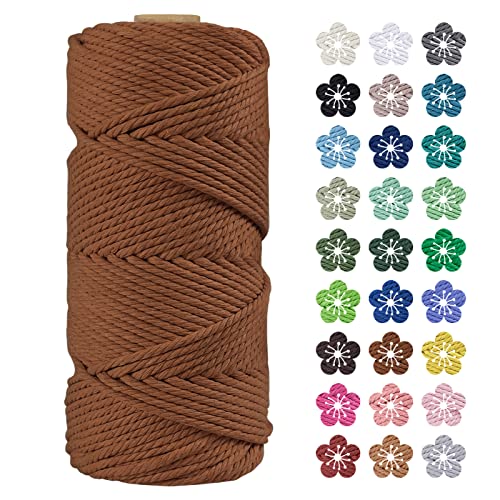 LEREATI Makramee Garn 4mm x 100m Baumwollkordel Natur Baumwollseil Farbig Baumwollgarn, Macrame Cord 4mm für DIY Geflochten, Makramee Deko, Hängepflanze, Wandbehang, Vorhang (Karamell) von LEREATI