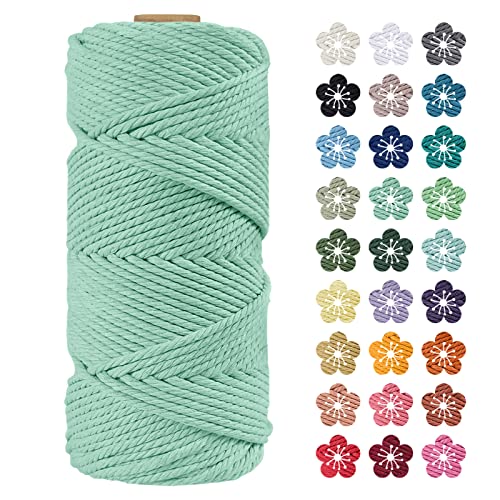 LEREATI Makramee Garn 4mm x 100m Hellgrün Baumwollkordel Natur Baumwollseil Farbig Baumwollgarn, Macrame Cord 4mm für DIY Geflochten, Makramee Deko, Hängepflanze, Wandbehang, Vorhang von LEREATI