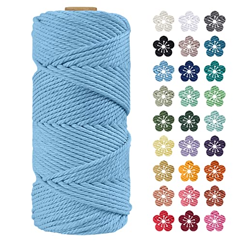 LEREATI Makramee Garn 4mm x 100m Himmelblau Baumwollkordel Natur Baumwollseil Farbig Baumwollgarn, Macrame Cord 4mm für DIY Geflochten, Makramee Deko, Hängepflanze, Wandbehang, Vorhang von LEREATI