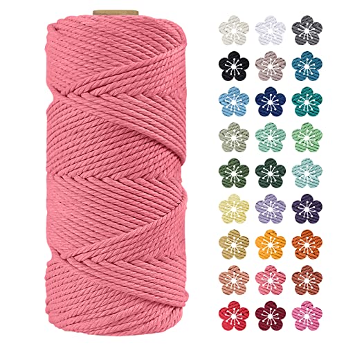 LEREATI Makramee Garn 4mm x 100m Wassermelone Rosa Baumwollkordel Natur Baumwollseil Farbig Baumwollgarn, Macrame Cord 4mm für DIY Geflochten, Makramee Deko, Hängepflanze, Wandbehang, Vorhang von LEREATI