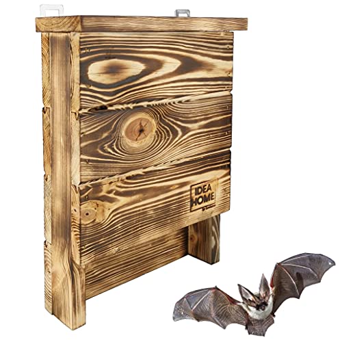 Leviatan IDEA HOME CHIROPTERA Fledermauskasten aus Massiv-Holz - fertig montiert, Nistkästen, wetterfest, unbehandelt, Fledermaus-Haus & Nistkasten für Fledermäuse sowohl Sommer- & Winterquartier von IDEA HOME